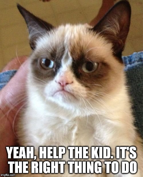 Grumpy Cat Meme | YEAH, HELP THE KID. IT'S THE RIGHT THING TO DO | image tagged in memes,grumpy cat | made w/ Imgflip meme maker