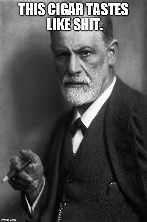 Sigmund Freud | THIS CIGAR TASTES LIKE SHIT. | image tagged in memes,sigmund freud,cigar,freudian slip | made w/ Imgflip meme maker