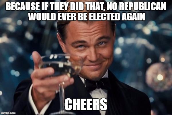 Leonardo Dicaprio Cheers Meme | BECAUSE IF THEY DID THAT, NO REPUBLICAN WOULD EVER BE ELECTED AGAIN CHEERS | image tagged in memes,leonardo dicaprio cheers | made w/ Imgflip meme maker