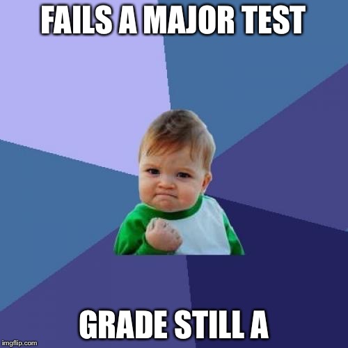 Success Kid Meme | FAILS A MAJOR TEST; GRADE STILL A | image tagged in memes,success kid | made w/ Imgflip meme maker