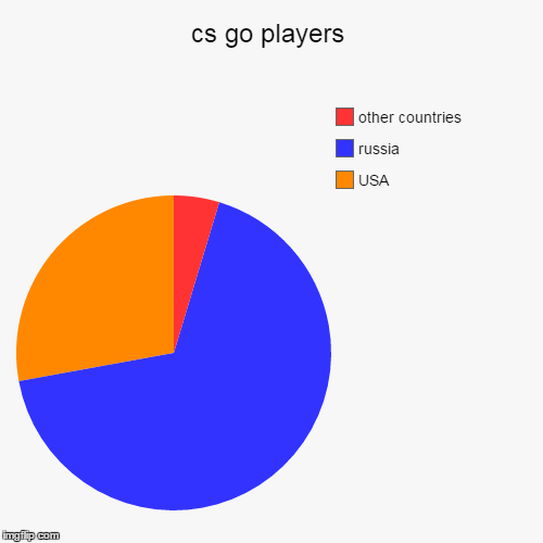 image tagged in funny,pie charts,csgo,usa,russia,other | made w/ Imgflip chart maker