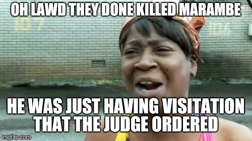 Ain't Nobody Got Time For That Meme | OH LAWD THEY DONE KILLED MARAMBE; HE WAS JUST HAVING VISITATION THAT THE JUDGE ORDERED | image tagged in memes,aint nobody got time for that | made w/ Imgflip meme maker