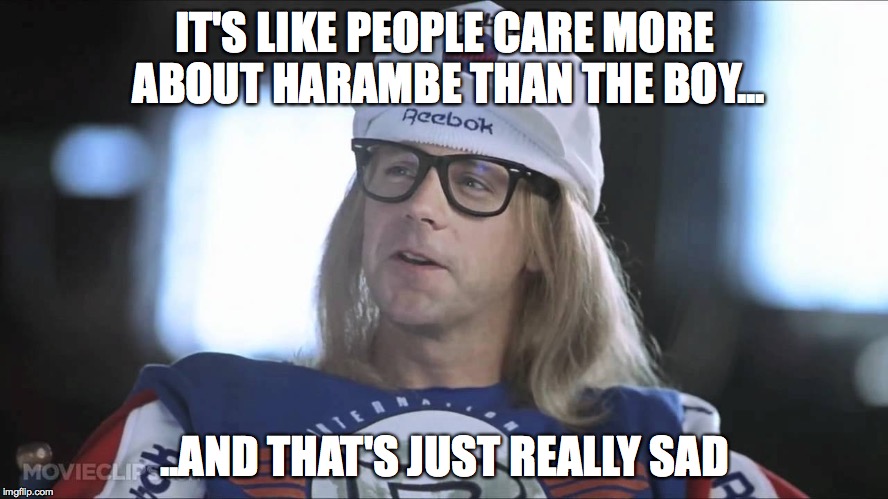  IT'S LIKE PEOPLE CARE MORE ABOUT HARAMBE THAN THE BOY... ..AND THAT'S JUST REALLY SAD | image tagged in harambe | made w/ Imgflip meme maker