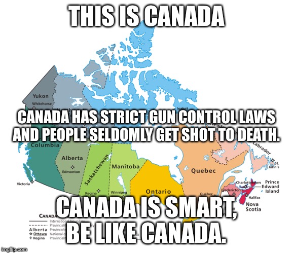 If EVERYONE had guns the world would be more safe right!? Wrong... | THIS IS CANADA; CANADA HAS STRICT GUN CONTROL LAWS AND PEOPLE SELDOMLY GET SHOT TO DEATH. CANADA IS SMART, BE LIKE CANADA. | image tagged in ucla,america,'murica,gun control,america vs canada,mass shooting | made w/ Imgflip meme maker