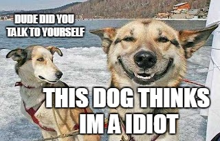 Original Stoner Dog Meme | DUDE DID YOU TALK TO YOURSELF; THIS DOG THINKS IM A IDIOT | image tagged in memes,original stoner dog,2 dogs,stoner dog | made w/ Imgflip meme maker