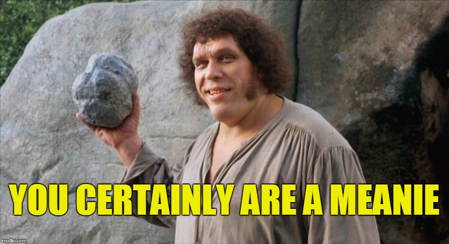 Meanie | YOU CERTAINLY ARE A MEANIE | image tagged in fezzik,memes,princess bride | made w/ Imgflip meme maker