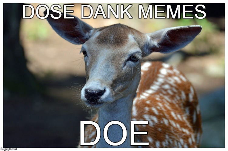 DOSE DANK MEMES DOE | made w/ Imgflip meme maker