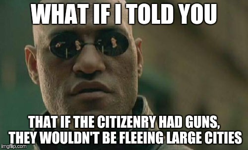 Matrix Morpheus | WHAT IF I TOLD YOU; THAT IF THE CITIZENRY HAD GUNS, THEY WOULDN'T BE FLEEING LARGE CITIES | image tagged in memes,matrix morpheus | made w/ Imgflip meme maker