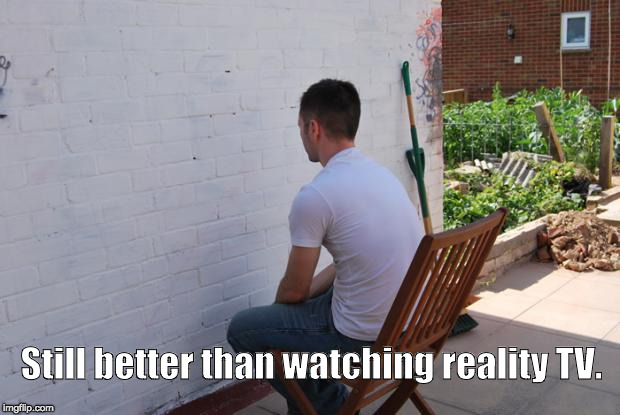 paintdry | Still better than watching reality TV. | image tagged in paintdry | made w/ Imgflip meme maker
