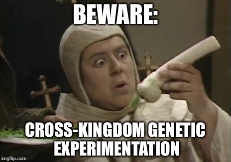 BEWARE:; CROSS-KINGDOM GENETIC EXPERIMENTATION | image tagged in blackadder,turnip,phallic | made w/ Imgflip meme maker