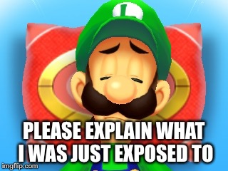 Confused Luigi | PLEASE EXPLAIN WHAT I WAS JUST EXPOSED TO | image tagged in confused luigi | made w/ Imgflip meme maker