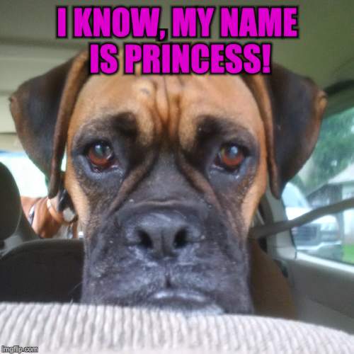 I KNOW, MY NAME IS PRINCESS! | made w/ Imgflip meme maker