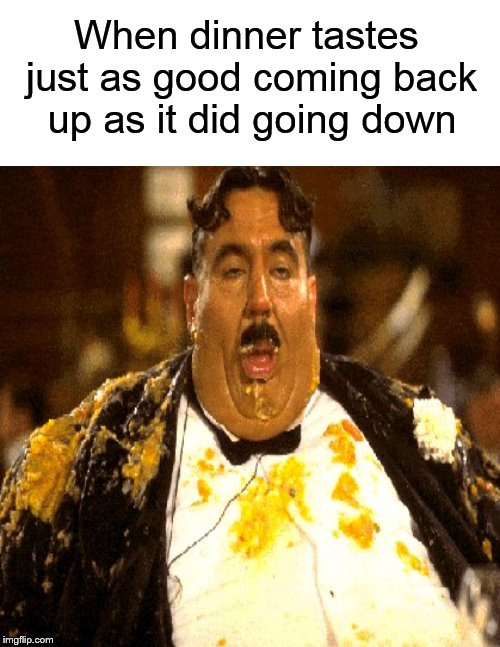 Just as good coming up as it was going down.... | When dinner tastes just as good coming back up as it did going down | image tagged in funny memes,vomit,puke,fat guy | made w/ Imgflip meme maker