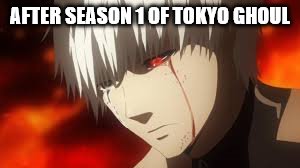 Tokyo Ghoul |  AFTER SEASON 1 OF TOKYO GHOUL | image tagged in tokyo ghoul | made w/ Imgflip meme maker