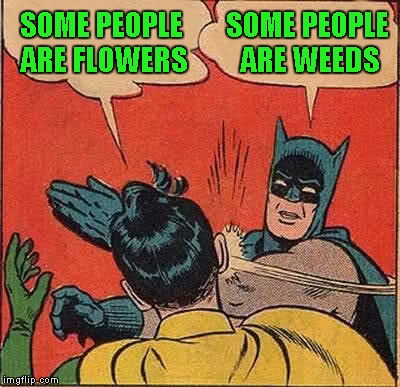 Batman Slapping Robin Meme | SOME PEOPLE ARE FLOWERS SOME PEOPLE ARE WEEDS | image tagged in memes,batman slapping robin | made w/ Imgflip meme maker