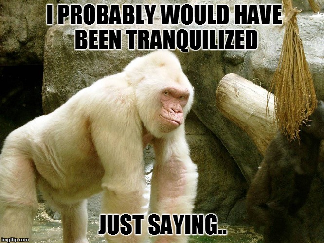 I PROBABLY WOULD HAVE 
BEEN TRANQUILIZED; JUST SAYING.. | image tagged in whitey | made w/ Imgflip meme maker
