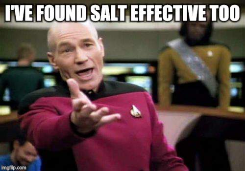 Picard Wtf Meme | I'VE FOUND SALT EFFECTIVE TOO | image tagged in memes,picard wtf | made w/ Imgflip meme maker