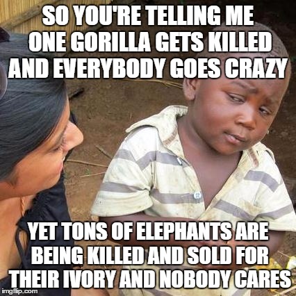 A lot of other worse things are going on | SO YOU'RE TELLING ME ONE GORILLA GETS KILLED AND EVERYBODY GOES CRAZY; YET TONS OF ELEPHANTS ARE BEING KILLED AND SOLD FOR THEIR IVORY AND NOBODY CARES | image tagged in memes,third world skeptical kid | made w/ Imgflip meme maker