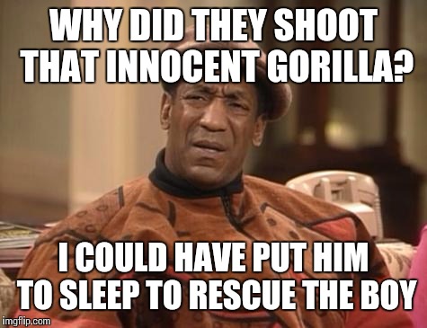 Bill Cosby confused | WHY DID THEY SHOOT THAT INNOCENT GORILLA? I COULD HAVE PUT HIM TO SLEEP TO RESCUE THE BOY | image tagged in bill cosby confused | made w/ Imgflip meme maker