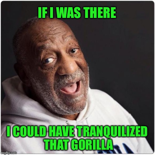 He's got the experience | IF I WAS THERE; I COULD HAVE TRANQUILIZED THAT GORILLA | image tagged in bill cosby admittance,memes,funny,gorilla | made w/ Imgflip meme maker
