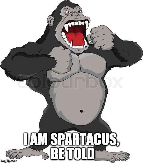 Spartacus | I AM SPARTACUS, BE TOLD | image tagged in i am spartacus | made w/ Imgflip meme maker