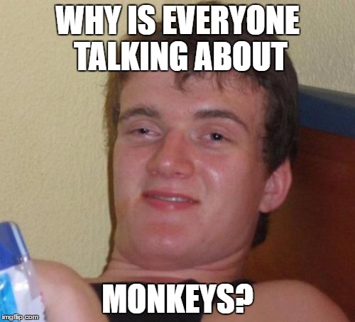 10 Guy | WHY IS EVERYONE TALKING ABOUT; MONKEYS? | image tagged in memes,10 guy | made w/ Imgflip meme maker