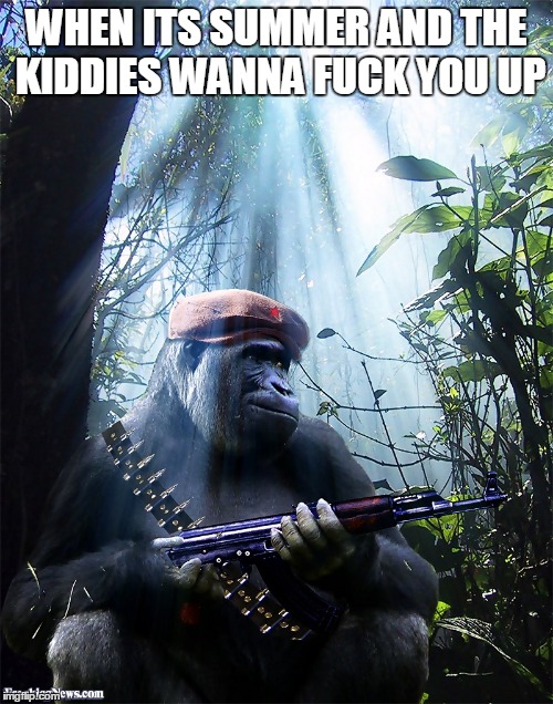 gorilla with a gun | WHEN ITS SUMMER AND THE KIDDIES WANNA FUCK YOU UP | image tagged in gorilla with a gun | made w/ Imgflip meme maker