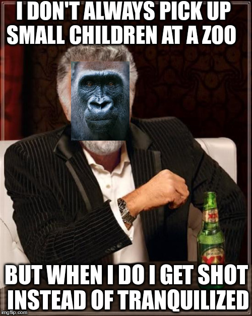 The Most Interesting Man In The World | I DON'T ALWAYS PICK UP SMALL CHILDREN AT A ZOO; BUT WHEN I DO I GET SHOT INSTEAD OF TRANQUILIZED | image tagged in memes,the most interesting man in the world | made w/ Imgflip meme maker