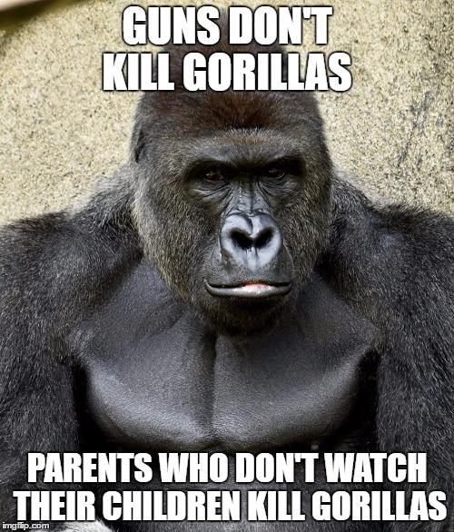 Harambe | GUNS DON'T KILL GORILLAS; PARENTS WHO DON'T WATCH THEIR CHILDREN KILL GORILLAS | image tagged in harambe | made w/ Imgflip meme maker