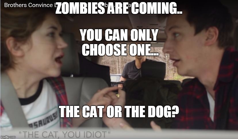 the cat, you idiot! | ZOMBIES ARE COMING.. YOU CAN ONLY CHOOSE ONE... THE CAT OR THE DOG? | image tagged in the cat you idiot! | made w/ Imgflip meme maker