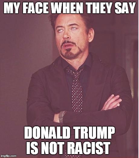 Face You Make Robert Downey Jr Meme |  MY FACE WHEN THEY SAY; DONALD TRUMP IS NOT RACIST | image tagged in memes,face you make robert downey jr | made w/ Imgflip meme maker