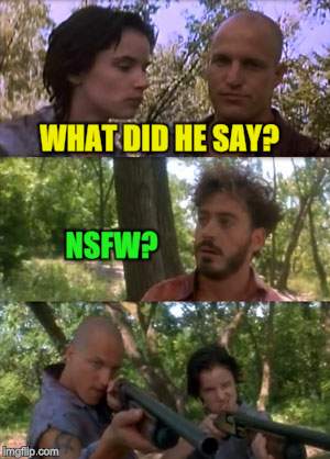 Woody says say that again | WHAT DID HE SAY? NSFW? | image tagged in woody says say that again | made w/ Imgflip meme maker
