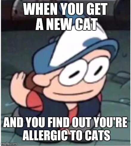 WHEN YOU GET A NEW CAT; AND YOU FIND OUT YOU'RE ALLERGIC TO CATS | image tagged in squipper | made w/ Imgflip meme maker