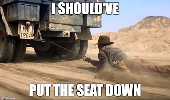 I SHOULD'VE; PUT THE SEAT DOWN | image tagged in indiana jones,women | made w/ Imgflip meme maker