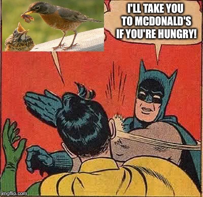 Batman Slapping Robin | I'LL TAKE YOU TO MCDONALD'S IF YOU'RE HUNGRY! | image tagged in memes,batman slapping robin | made w/ Imgflip meme maker