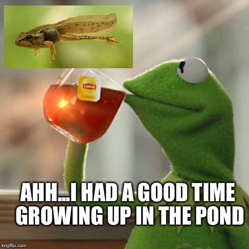 But That's None Of My Business Meme | AHH...I HAD A GOOD TIME GROWING UP IN THE POND | image tagged in memes,but thats none of my business,kermit the frog | made w/ Imgflip meme maker