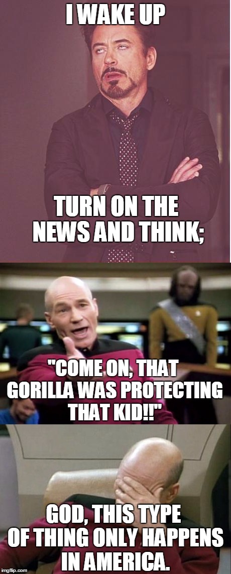 The gorilla situation could have been avoided so easily... | I WAKE UP; TURN ON THE NEWS AND THINK;; "COME ON, THAT GORILLA WAS PROTECTING THAT KID!!"; GOD, THIS TYPE OF THING ONLY HAPPENS IN AMERICA. | image tagged in gorilla,shooting,kid,zoo | made w/ Imgflip meme maker