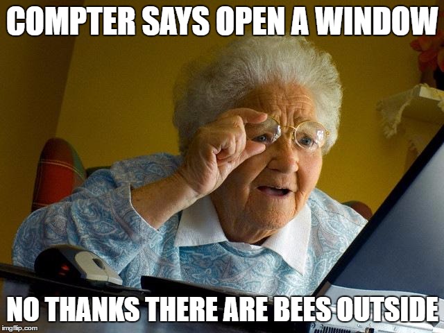 Grandma Finds The Internet Meme | COMPTER SAYS OPEN A WINDOW; NO THANKS THERE ARE BEES OUTSIDE | image tagged in memes,grandma finds the internet | made w/ Imgflip meme maker