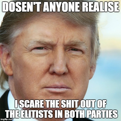 Trump! | DOSEN'T ANYONE REALISE; I SCARE THE SHIT OUT OF THE ELITISTS IN BOTH PARTIES | image tagged in donald trump | made w/ Imgflip meme maker