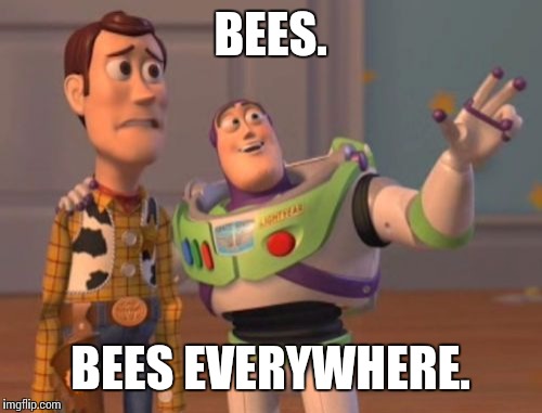 X, X Everywhere | BEES. BEES EVERYWHERE. | image tagged in memes,x x everywhere | made w/ Imgflip meme maker