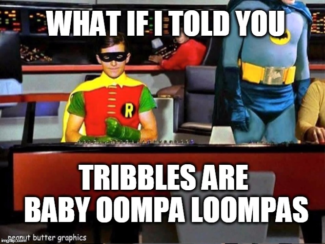 What if I told you... | WHAT IF I TOLD YOU; TRIBBLES ARE BABY OOMPA LOOMPAS | image tagged in batman star trek,willy wonka,oompa loompa,tribbles,what if i told you | made w/ Imgflip meme maker