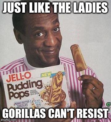 JUST LIKE THE LADIES GORILLAS CAN'T RESIST | made w/ Imgflip meme maker