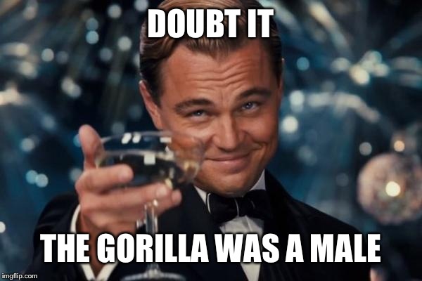 Leonardo Dicaprio Cheers Meme | DOUBT IT THE GORILLA WAS A MALE | image tagged in memes,leonardo dicaprio cheers | made w/ Imgflip meme maker