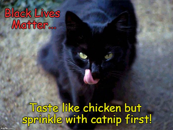 Black cat thinks Black Lives Matter taste like chicken | Black Lives Matter... Taste like chicken but sprinkle with catnip first! | image tagged in black lies matter,catnip | made w/ Imgflip meme maker