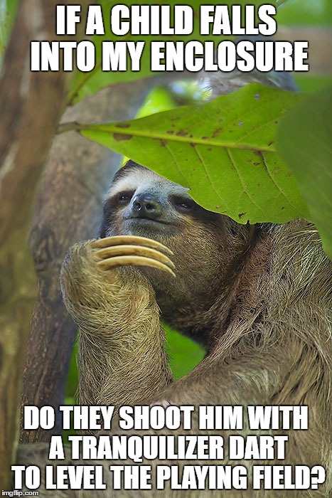 IF A CHILD FALLS INTO MY ENCLOSURE; DO THEY SHOOT HIM WITH A TRANQUILIZER DART TO LEVEL THE PLAYING FIELD? | image tagged in sloth | made w/ Imgflip meme maker