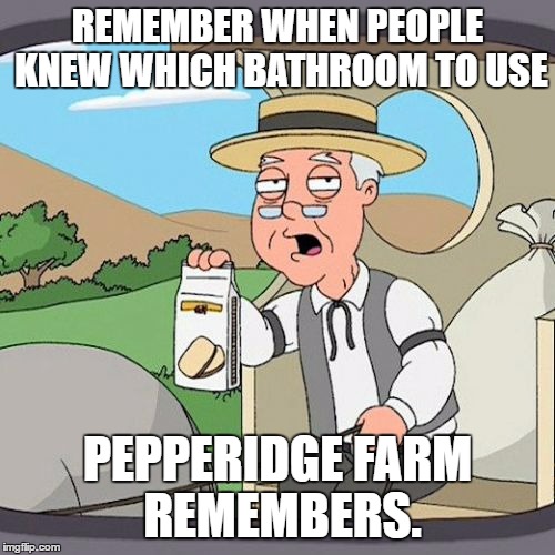 Pepperidge Farm Remembers | REMEMBER WHEN PEOPLE KNEW WHICH BATHROOM TO USE; PEPPERIDGE FARM REMEMBERS. | image tagged in memes,pepperidge farm remembers | made w/ Imgflip meme maker