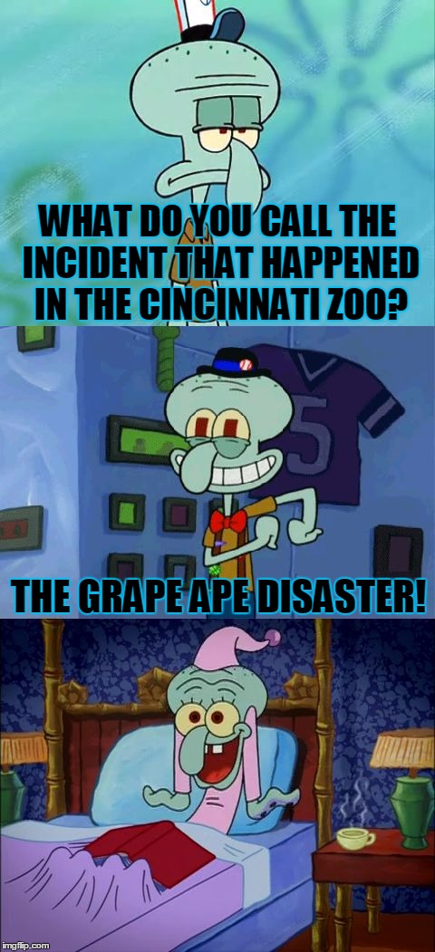 Bad Pun Squidward, I Feel So Bad For Making This... | WHAT DO YOU CALL THE INCIDENT THAT HAPPENED IN THE CINCINNATI ZOO? THE GRAPE APE DISASTER! | image tagged in bad pun squidward,memes,funny,bad pun,squidward,gorilla | made w/ Imgflip meme maker