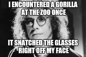 Gorilla, You're A Desperado | I ENCOUNTERED A GORILLA AT THE ZOO ONCE; IT SNATCHED THE GLASSES RIGHT OFF MY FACE | image tagged in warren zevon,gorilla,glasses,zoo | made w/ Imgflip meme maker