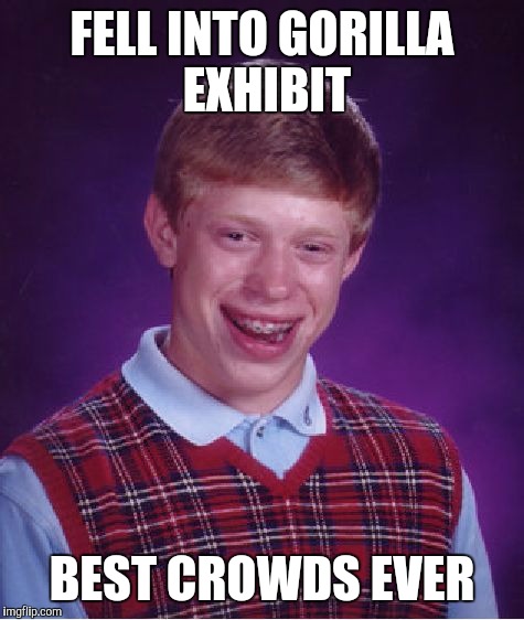 Bad Luck Brian | FELL INTO GORILLA EXHIBIT; BEST CROWDS EVER | image tagged in memes,bad luck brian | made w/ Imgflip meme maker