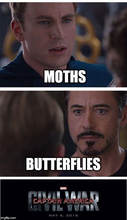 Moths are just vampire butterflies... | MOTHS; BUTTERFLIES | image tagged in memes,marvel civil war 1,moths,butterflies,animals | made w/ Imgflip meme maker